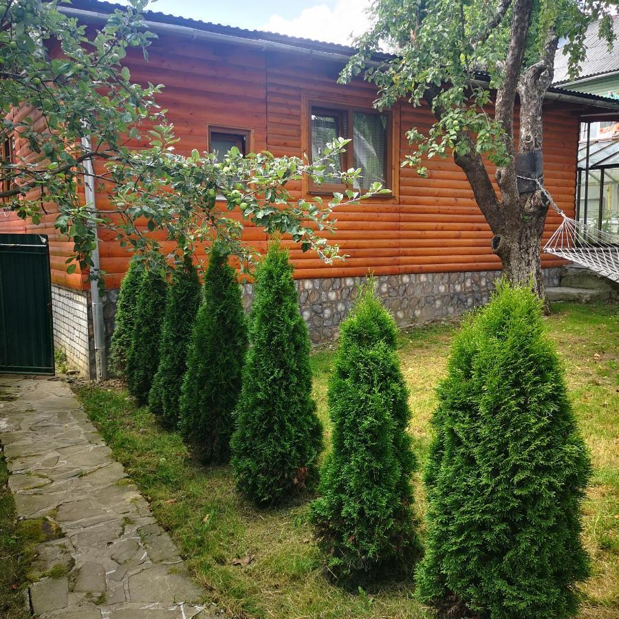 Vila Kotiedzh U Mariny Jaremče Exteriér fotografie