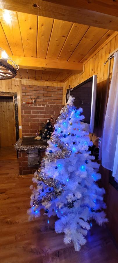 Vila Kotiedzh U Mariny Jaremče Exteriér fotografie