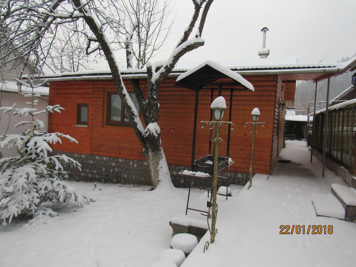 Vila Kotiedzh U Mariny Jaremče Exteriér fotografie