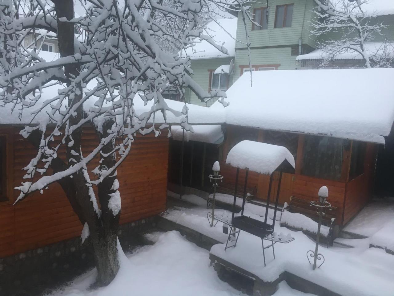 Vila Kotiedzh U Mariny Jaremče Exteriér fotografie